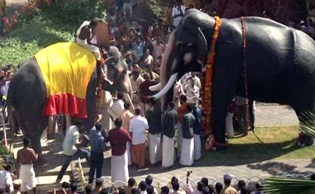 Why This Kerala Elephant's Death Anniversary is Celebrated