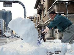Up To 11 Dead In Japan Snow Storms: Reports