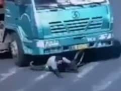 Caught on Camera: Man Gets Run Over by 14-Wheel Truck, Sits Right Back Up