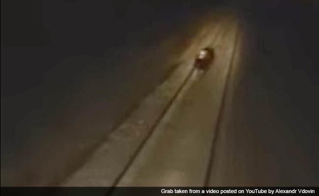 Video of Train Driver 'Mowing Down Bear' Shocks Russians