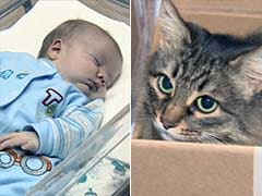Viral: The Internet Loves This Homeless Hero Cat Who Saved Abandoned Baby Boy