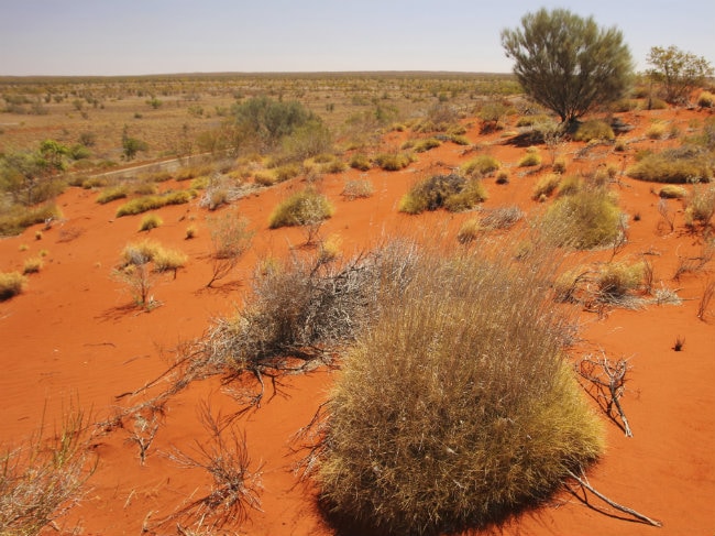 Australian Dies So Close to Help After Burning Outback Trek