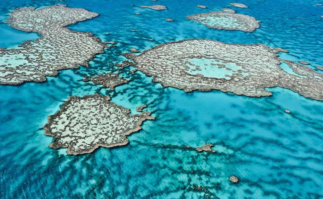 Global Warming Threatens Jewels of Nature, Civilisation