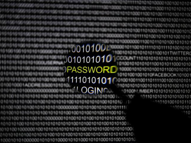 Pro-Russian Group Claims Cyber Attack on German Government Websites