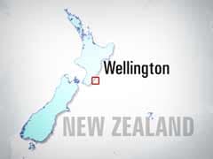 Skydivers Safe After New Zealand Plane Crashes Into Lake