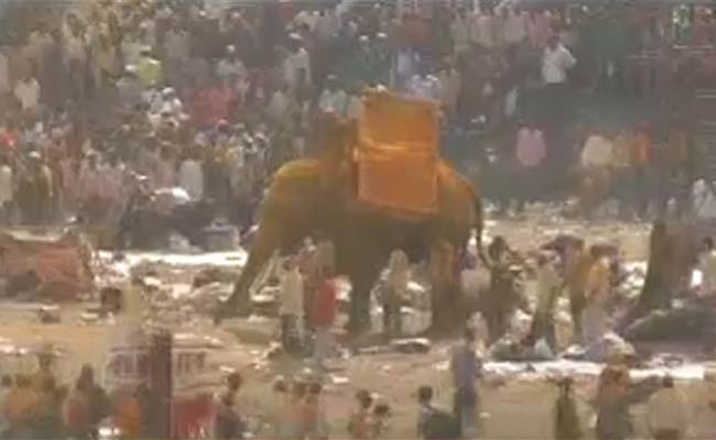 Temple Elephant Goes Berserk in Maharashtra, One Killed