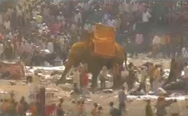 Temple Elephant Goes Berserk in Maharashtra, One Killed 