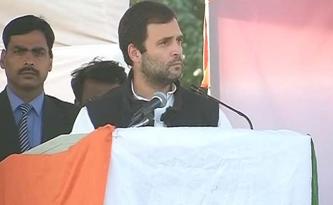 Rahul Gandhi Addresses Rally in Delhi's Seelampur : Highlights