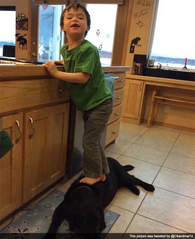 Sarah Palin Photos of Son Stepping on Dog Trigger Online Outrage