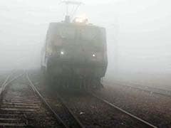 Cold Conditions Prevail In Rajasthan, Fog Disrupts Rail Traffic