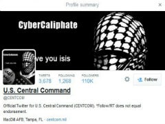 British Hacker Linked to Attack on Pentagon Twitter Feed: Sources