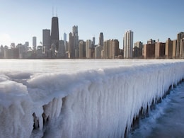Record-Breaking Cold Closes US Schools, Sends Penguins Inside Record-Breaking Cold Closes US Schools, Sends Penguins Inside