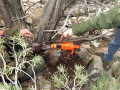 Researchers Puzzled by Discovery of 1882 Winchester Rifle