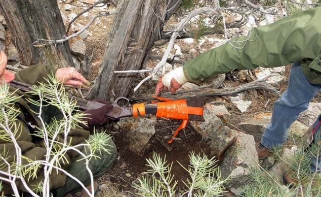 Researchers Puzzled by Discovery of 1882 Winchester Rifle