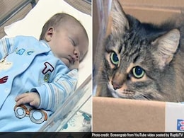 Viral: The Internet Loves This Homeless Hero Cat Who Saved Abandoned Baby Boy Viral: The Internet Loves This Homeless Hero Cat Who Saved Abandoned Baby Boy