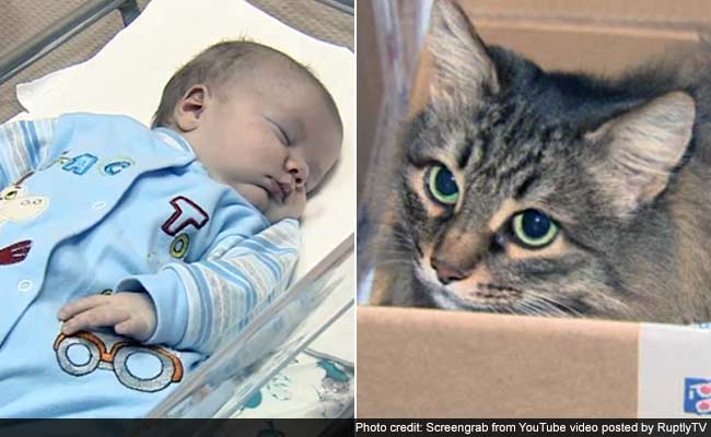 Viral: The Internet Loves This Homeless Hero Cat Who Saved Abandoned Baby Boy