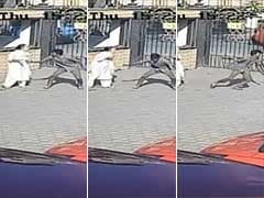 CCTV Shows Man Snatching Chain, Being Thrashed When Caught