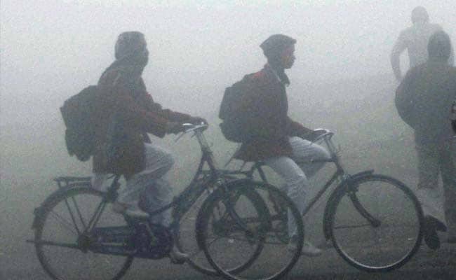 Dense Fog, Drizzle Make Uttar Pradesh Chilly
