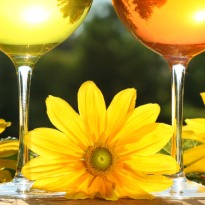 Editor's Pick: Mother's Day Special