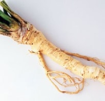 Alys Fowler: Horseradish