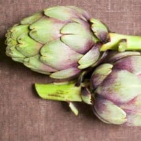 Why Globe Artichokes are Good for You