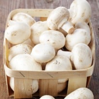 Mushrooms Good for Diabetics: Expert