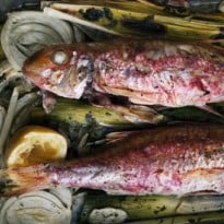 Nigel Slater's Fish Recipes
