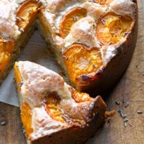 A Plum Assignment: Yotam Ottolenghi's Recipe for Set Cheesecake With Greengage Compote, Plus Apricot, Walnut and Lavender Cake
