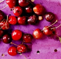 Cherries Make You Fit, Young