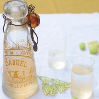 Make Your Own Elderflower and Gooseberry Cordial