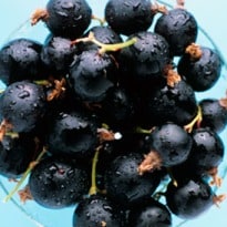 Why Blackcurrants are Good for You