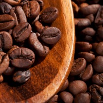 The Curious Case of the Most Expensive Coffee