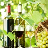 World Experts Explore Health Benefits of Wine