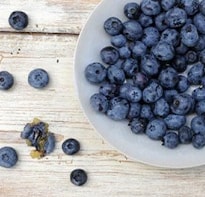 Why Blueberries are Good for You