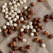 Why Hazelnuts are Good for You