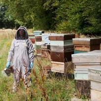 Hive Flyer: Meet the Honey Producer