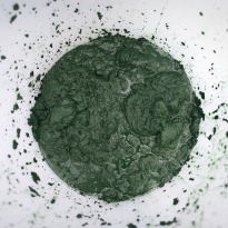 Edible Algae - the New Super-Food?