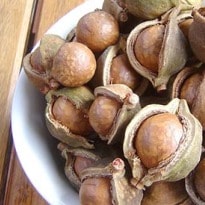Macadamia: Australia's Own Hard Nut to Crack