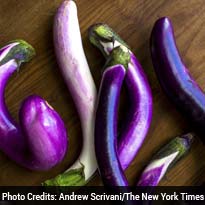 Eggplant's Power to Persuade