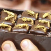 This One's Got legs: Are Insect Chocolates About to Take Off in France?