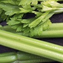 Why Celery is Good for You