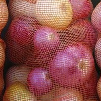 Why Onions Are Good for You