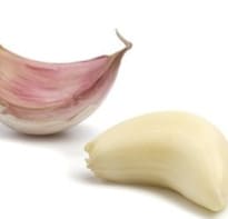 The best garlic varieties: a guide