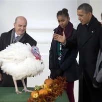 Obama pardons turkeys as part of annual rite 