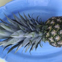 Why pineapple is good for you