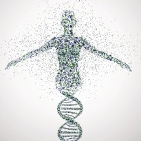 Genes Linked To Stroke Risk Identified: Study