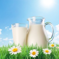 Vegetable 'Milk' for Lactose Intolerance