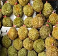 Durian, the world's smelliest fruit, goes on sale in Britain 