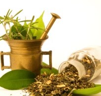 4 Food Masks That Are Great For Your Hair 4 Food Masks That Are Great For Your Hair