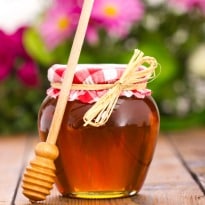 How Honey Acts as an Anti-Bacterial